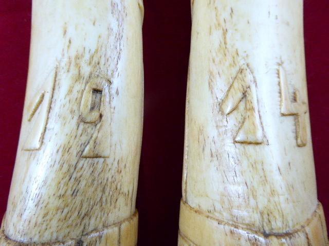 Pair of WW1 POW Carved Cow Shinbones – “19 14”- Tulip Plants - Knockaloe IOM