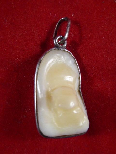Antique Victorian Silver Mounted Deer Tooth Pendant