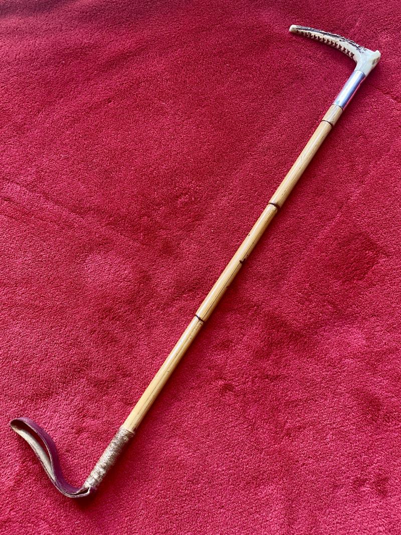 Antique Ladies Horn Handled Riding Crop with Hallmarked Silver Collar London 1905