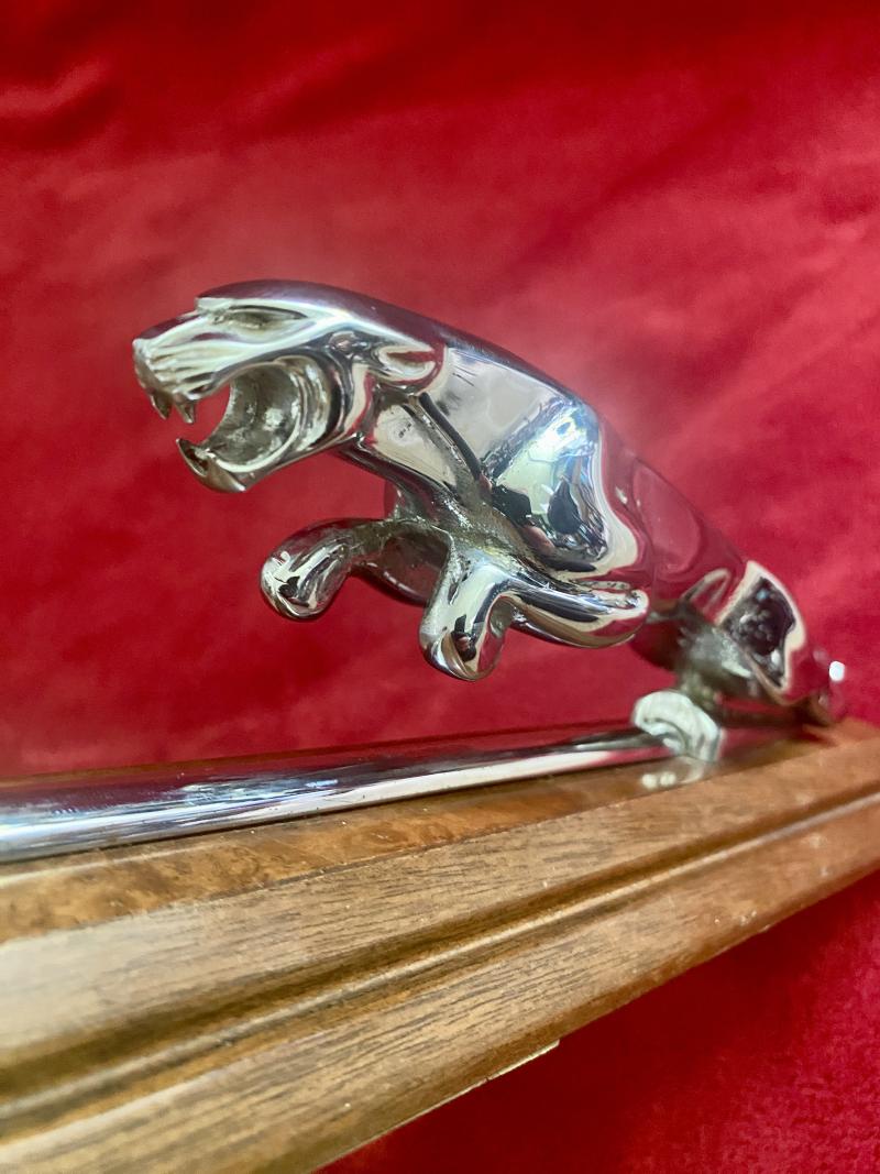Original Wilmot Breeden Chrome Jaguar Car Mascot with Chrome Bonnet Strip Mounted on Walnut Plinth c1955