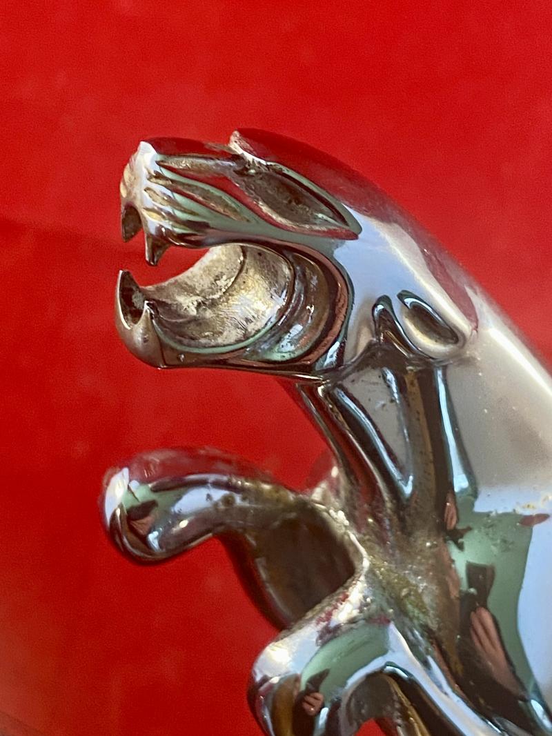 Original Wilmot Breeden Chrome Jaguar Car Mascot with Chrome Bonnet Strip Mounted on Walnut Plinth c1955