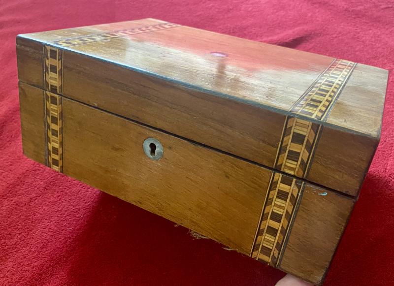 Extra Photos of Victorian Walnut Veneer Box with Marquetry Banding Containing a Beautiful Display of Sea Shells - 52128