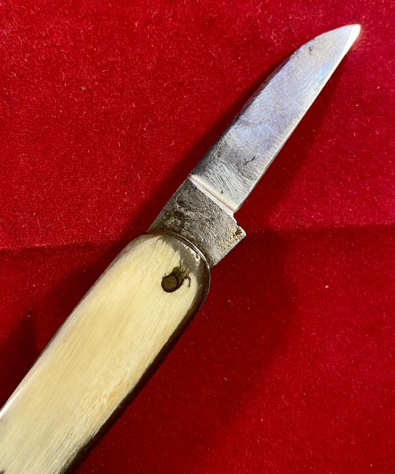 Antique Double-Bladed Penknife with Smooth Horn Grip Scales made in Sheffield c1880