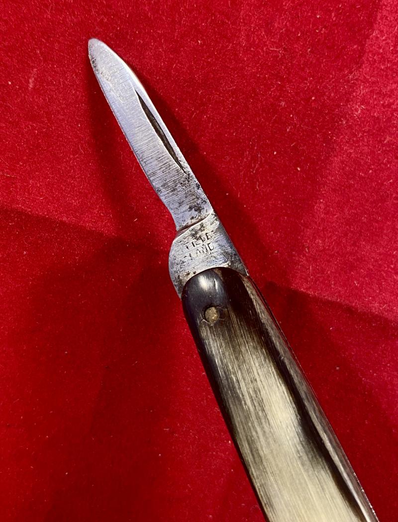 Antique Double-Bladed Penknife with Smooth Horn Grip Scales made in Sheffield c1880