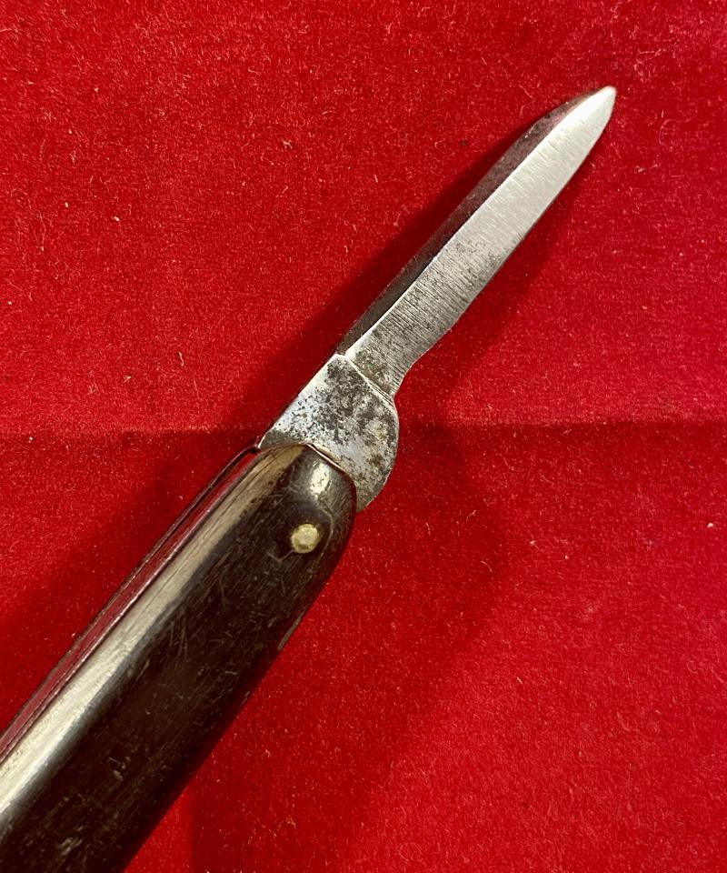 Antique Double-Bladed Penknife with Smooth Horn Grip Scales made in Sheffield c1880