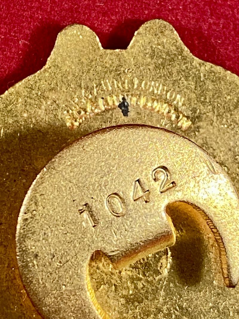 Scarce WW1 Period LEST WE FORGET COMRADES OF THE GREAT WAR ASSOCIATE MEMBER Gilt and Enamel Lapel Badge