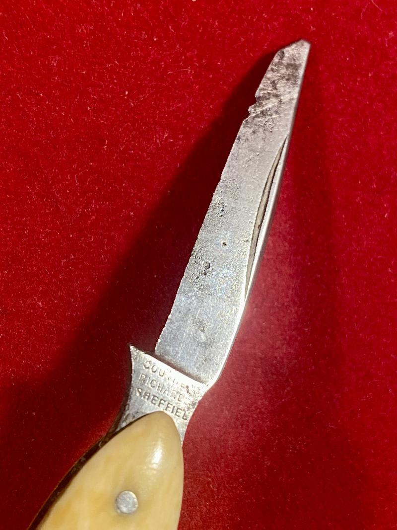 Unusual Fish Shaped Penknife by Southern & Richards of Sheffield c1900