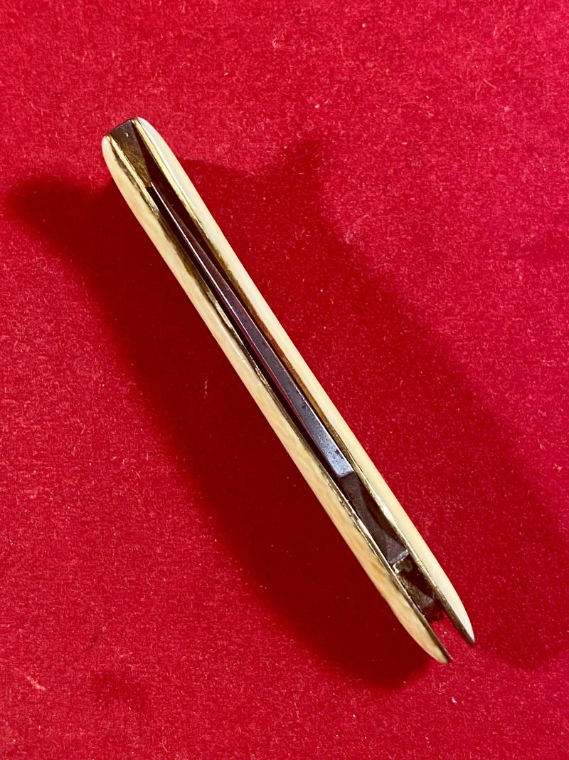 Unusual Fish Shaped Penknife by Southern & Richards of Sheffield c1900