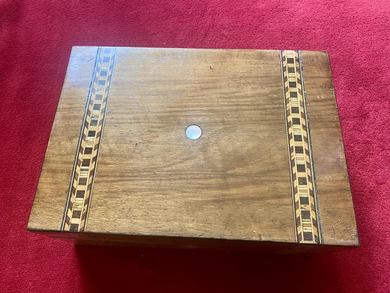 Stunning Antique Victorian Walnut Veneer Box with Marquetry Banding Containing a Beautiful Display of Sea Shells