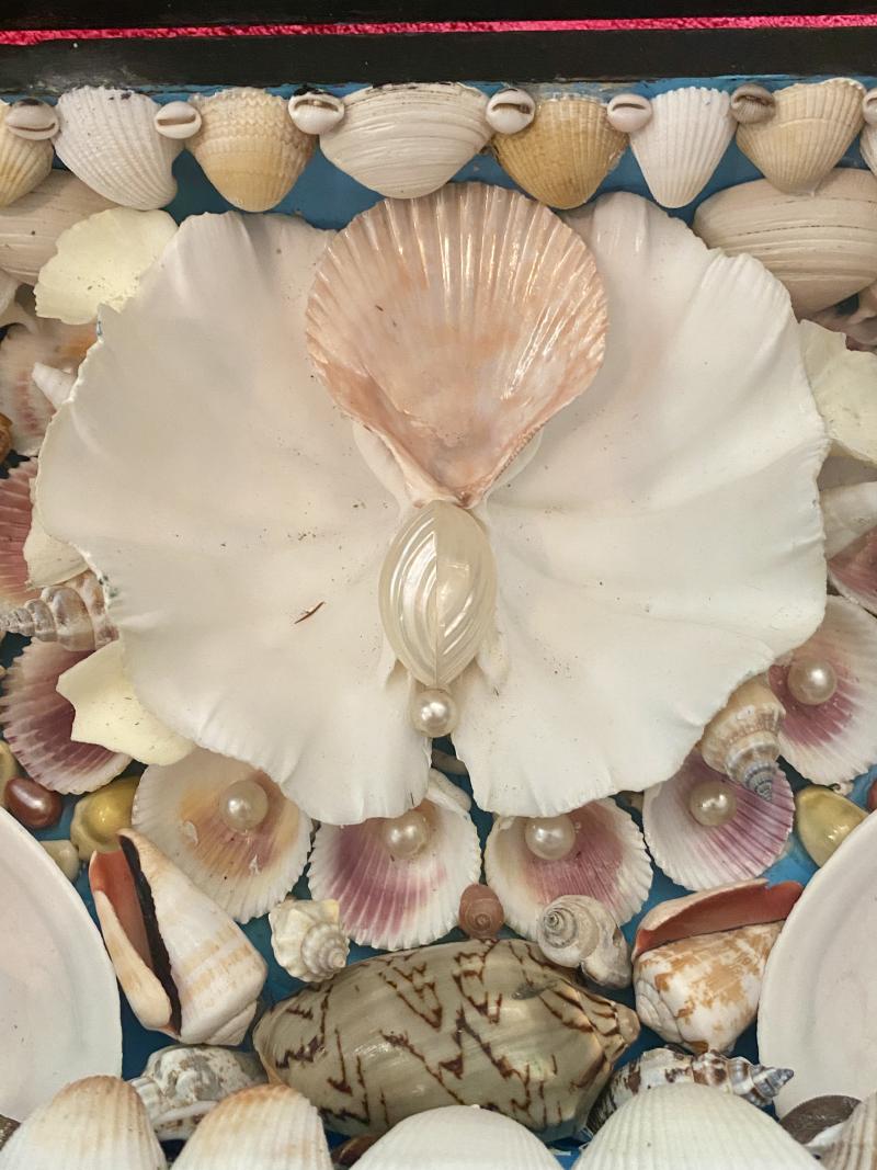 Stunning Antique Victorian Walnut Veneer Box with Marquetry Banding Containing a Beautiful Display of Sea Shells