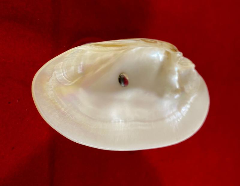 Beautiful Antique Mother of Pearl and Hallmarked Silver Pedestal Dish by William Vale & Sons 1922