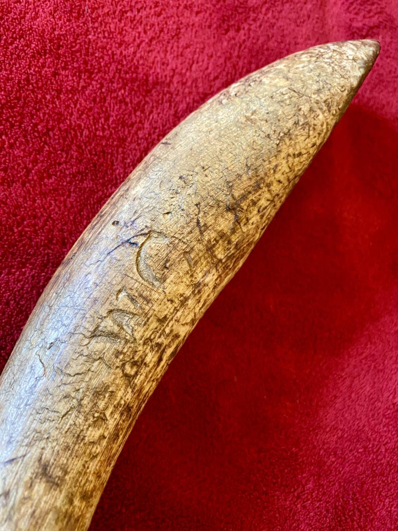 Antique Drenching Horn Farm Implement Engraved with WC