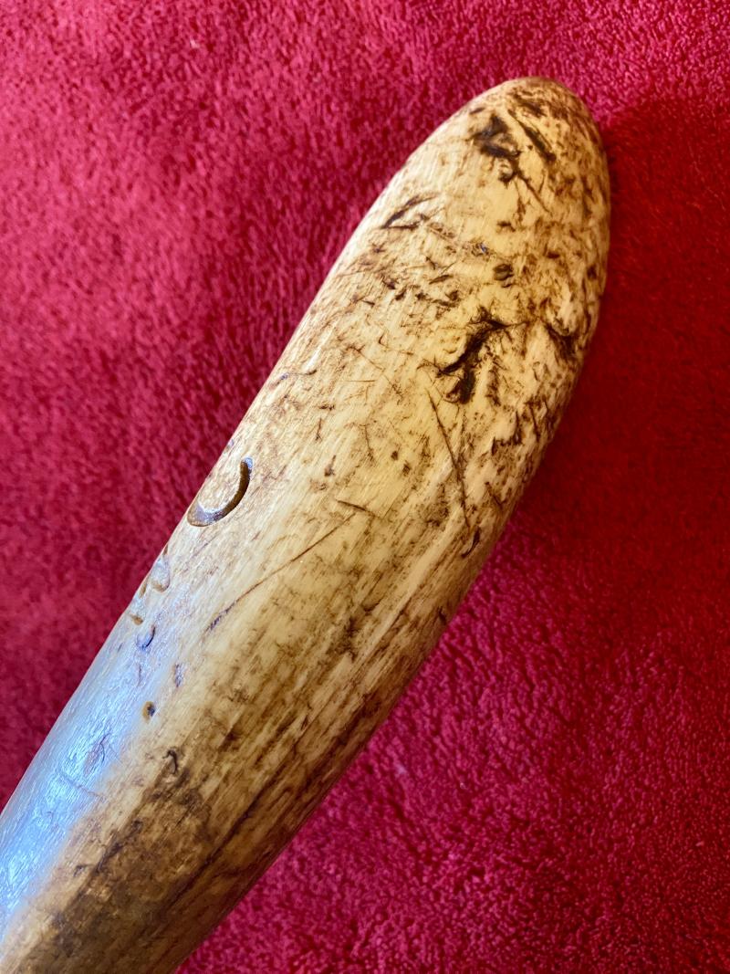 Antique Drenching Horn Farm Implement Engraved with WC