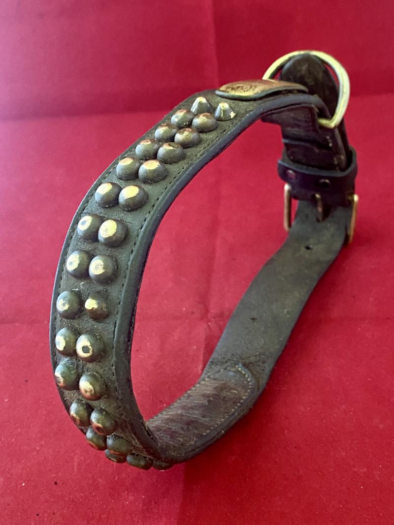 Large Antique Leather Dog Collar with Pointed Brass Studs and Blank Name Plaque